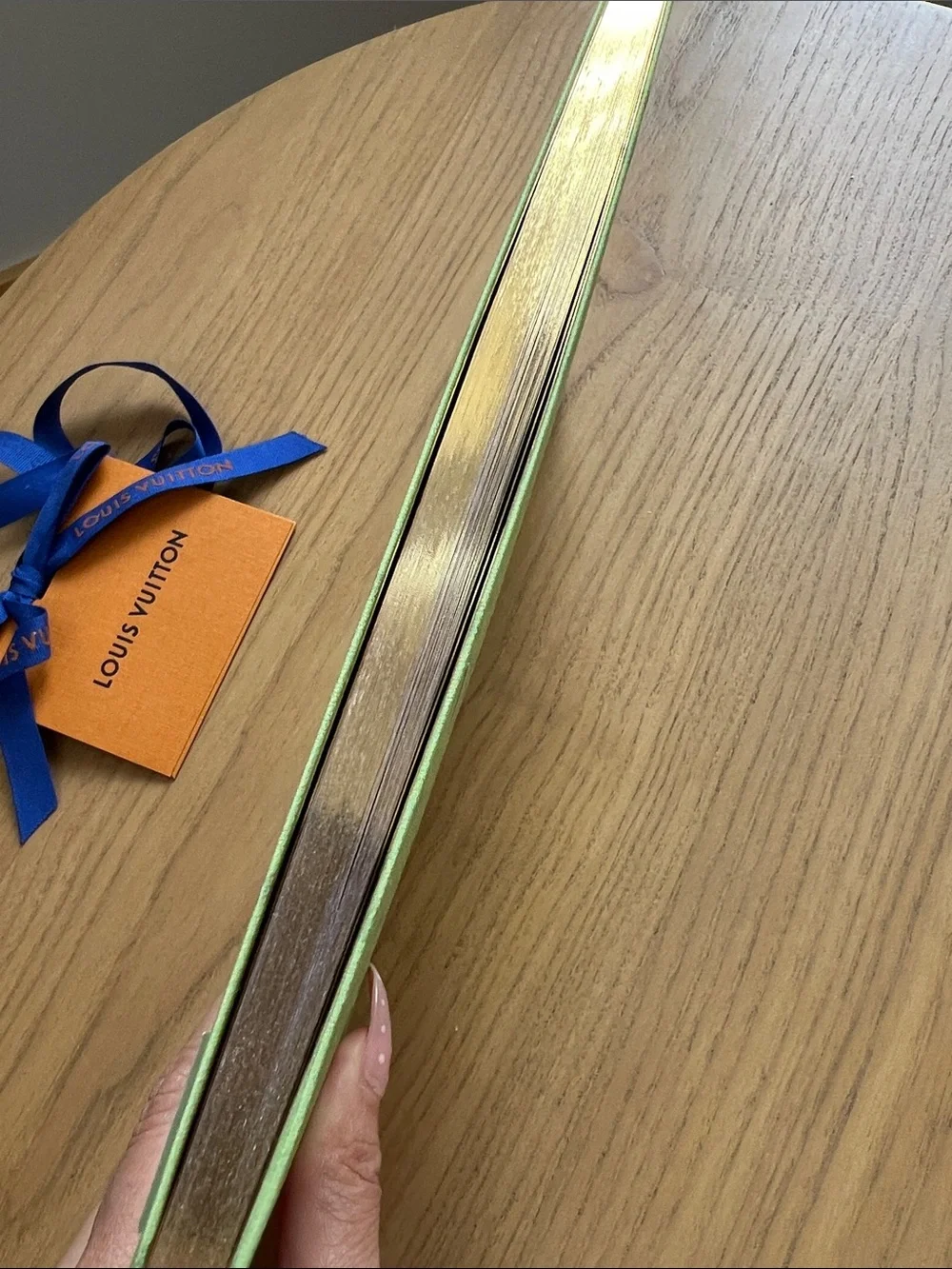 NEW Louis Vuitton Jane Notebook Baseball Field ⚾️